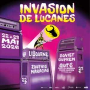 photo Invasion de Lucanes #14