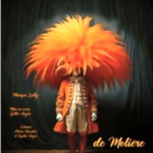 photo Le Bourgeois Gentilhomme, Comédie Tour Eiffel - Paris