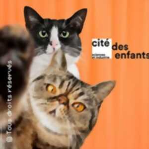 photo Cité des Enfants 5-10 ans