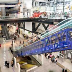 photo Les Expositions