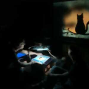 photo Allo Lola ?! - Cie Poussin Music