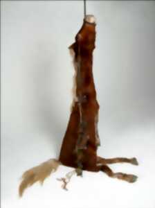 photo Gloria Friedmann - Splendeurs et extinction de la nature