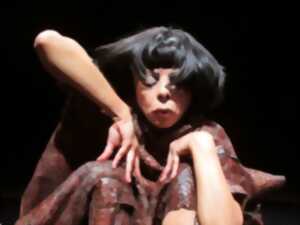 photo Ecran Somnambule, par Latifa Laâbissi