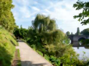 photo Visite guidée- Balade en bords de Vienne