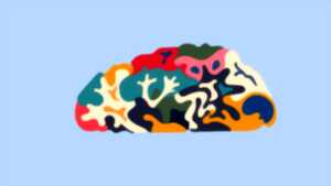 photo Semaine du Cerveau en Haute-Vienne