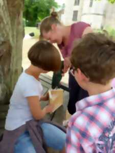 photo Fabrication d'un nichoir à hirondelle