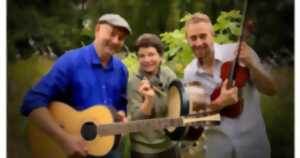 photo Concert musiques irlandaises