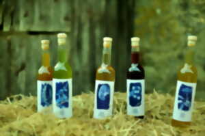 photo Balade Alambiquée