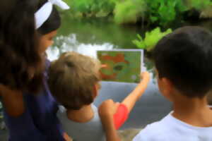 photo Chasse au trésor