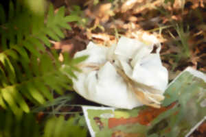 photo Chasse au trésor