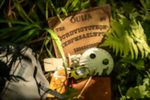 photo Escape Game Nature