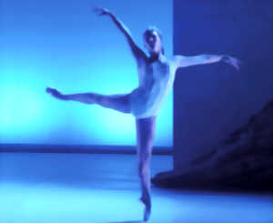 photo Ballet Illicite : Le Lac des cygnes