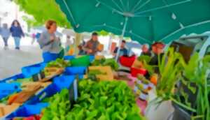 photo Marché des Trois-Quartiers