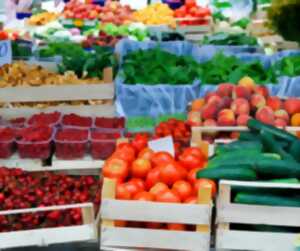 photo Marché de Rouillé