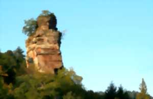 photo Flore et papillons des prairies et des berges du Schwarzbach