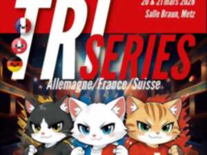 photo Festival international d'improvisation du Minou !