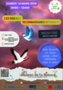 photo Les oiseaux, reconnaissance et chants