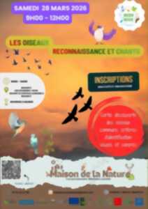 photo Les oiseaux, reconnaissance et chants