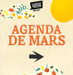 photo Soirée St Patrick