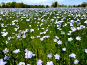 photo 100 lieux 100 massages : Ancrage en Pyrénées