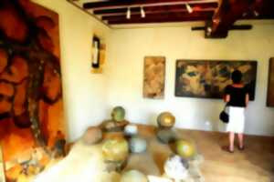 photo Exposition Daniele Fernandez