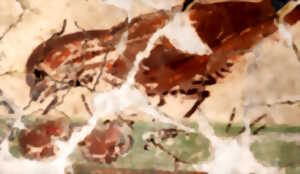 photo Un musée pour soi - Enduits peints à la romaine