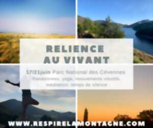photo STAGE RELIENCE AU VIVANT