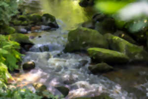 photo Vis ma vie de technicien rivière