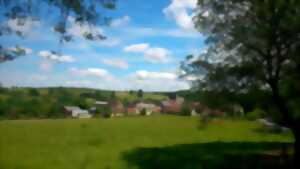 photo Fête de la Noix