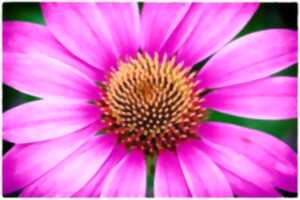 photo Exposition Studio Stab