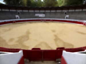 photo Visite à 3 voix au coeur des arènes d'Aire sur Adour