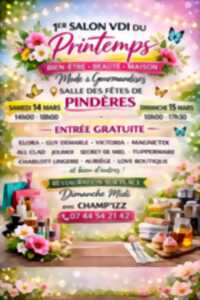 photo 1° salon VDI du Printemps