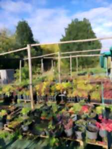 photo Atelier d'initiation à la greffe d'arbres fruitiers