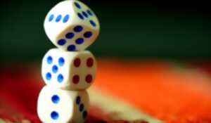 photo Jeux de Société - Adultes