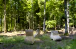 photo Sentiers Plaisir : Visite d'un atelier de sculptures