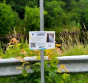 photo Autoroute et canal, une contrainte pour le déplacement de la faune sauvage ?