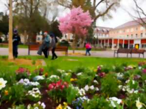 photo Matinée citoyenne : Nettoyage de printemps