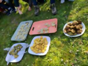 photo Cuisine des plantes sauvages