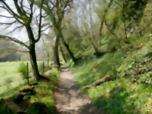 photo Faites la chasse aux déchets !