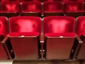 photo Spectacle - Chronique des jours entiers, des nuits entières