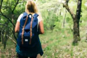 photo Randonnée Botanique et Poétique