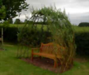 photo CRÉATION D'UNE CABANE EN OSIER VIVANT