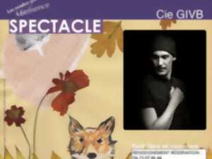 photo Spectacle - Ne le dis surtout pas