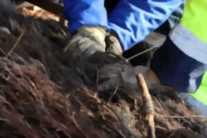 photo Chantier d’automne : La brande