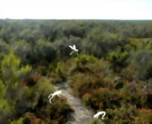 photo Pâques au Pinail !