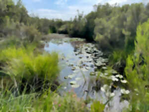 photo Visite découverte de la réserve