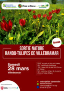 photo sortie nature : Rando-tulipes de Villebramar