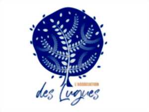 photo Vernissage de l'exposition de Thierry Costes