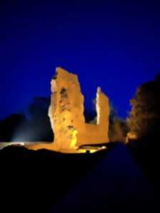 photo Thermes gallo-romains d'Alauna