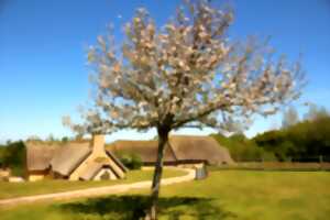 photo Sieste poétique